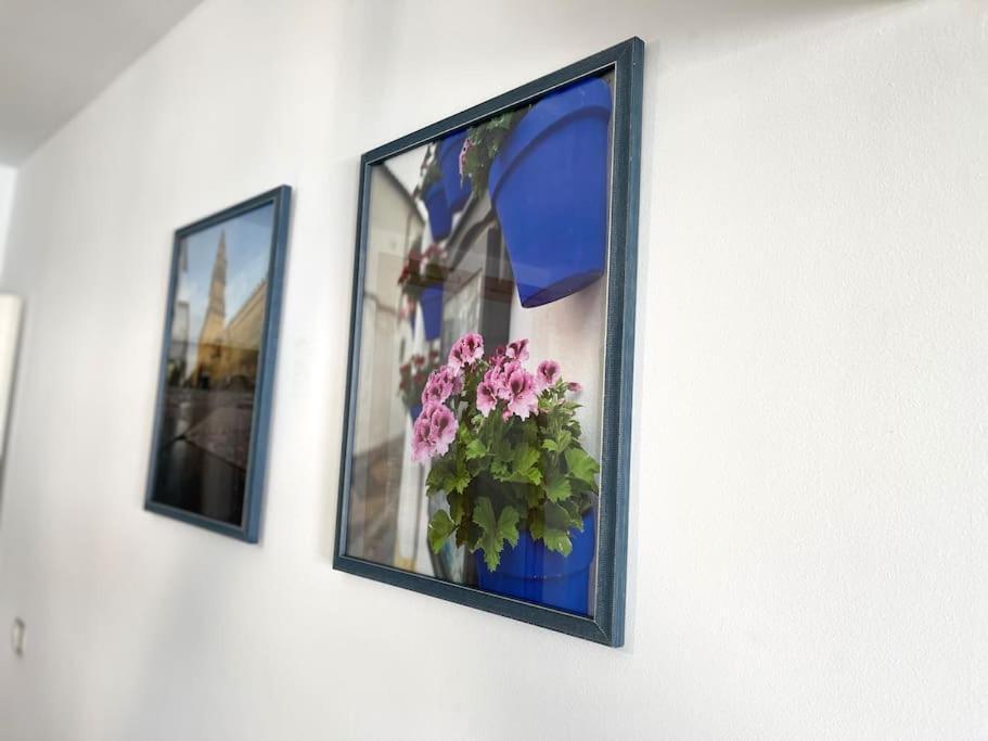 Apartamento Centrico Urbano Con Terraza Кордова Екстер'єр фото